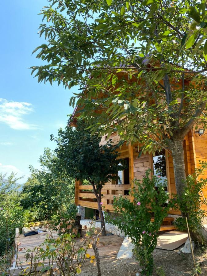Villa Peaceful Oasis Ulcinj Exterior foto
